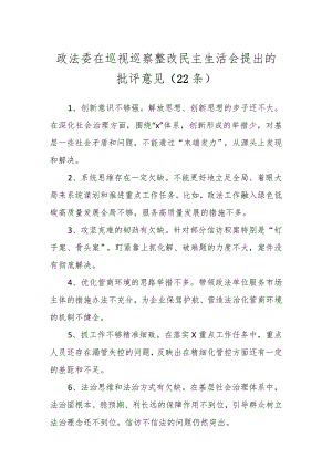 政法委在巡视巡察整改民主生活会提出的批评意见（22条）.docx