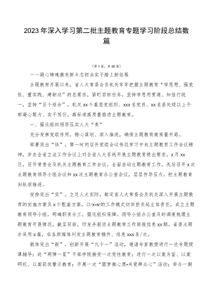 2023年深入学习第二批主题教育专题学习阶段总结数篇.docx