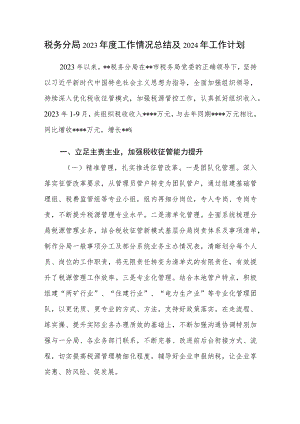 税务分局2023年度工作情况总结及2024年工作计划.docx
