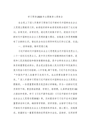 学习贯彻2023年主题教育心得体会.docx