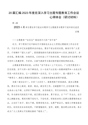 20篇汇编2023年度在深入学习主题专题教育工作会议心得体会（研讨材料）.docx