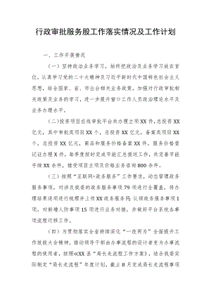 行政审批服务股工作落实情况及工作计划.docx