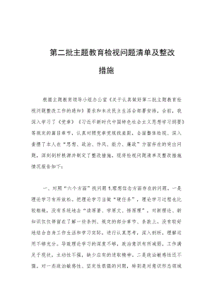 第二批主题教育检视问题清单及整改措施.docx