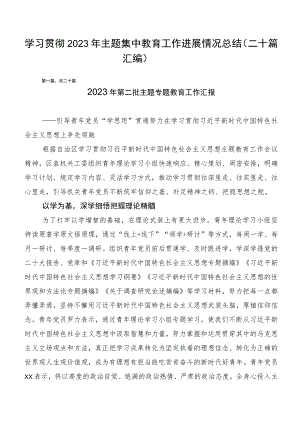学习贯彻2023年主题集中教育工作进展情况总结（二十篇汇编）.docx