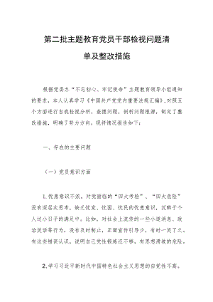 第二批主题教育党员干部检视问题清单及整改措施.docx