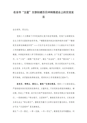 在全市“五星”支部创建百日冲刺推进会上的交流发言.docx