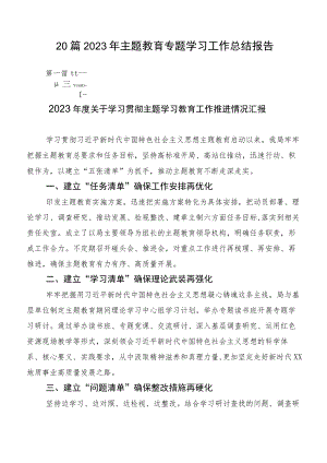 20篇2023年主题教育专题学习工作总结报告.docx