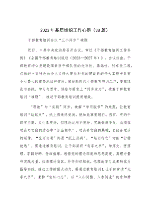 2023年基层组织工作心得（38篇）.docx