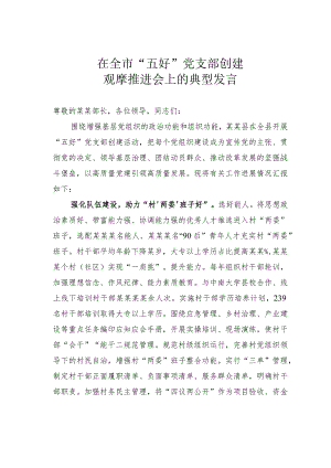 在全市“五好”党支部创建观摩推进会上的典型发言.docx