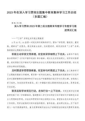 2023年在深入学习贯彻主题集中教育集体学习工作总结（多篇汇编）.docx