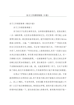 实习工作感悟集锦（9篇）.docx