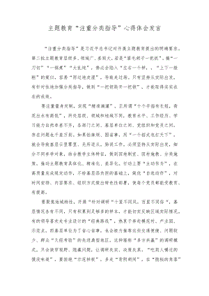 （2篇）主题教育“注重分类指导”心得体会发言.docx