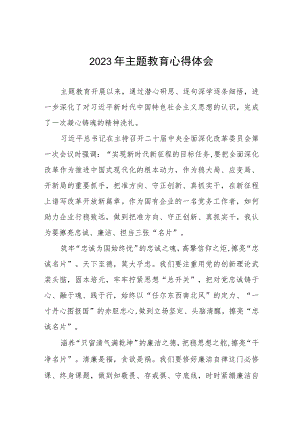 国企分公司党员干部2023年主题教育心得体会九篇.docx