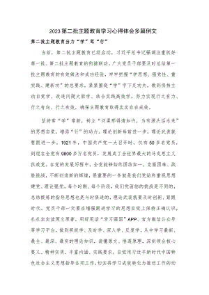 2023第二批主题教育学习心得体会多篇例文.docx