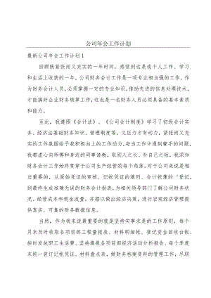 公司年会工作计划.docx