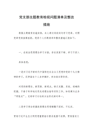 党支部主题教育检视问题清单及整改措施.docx