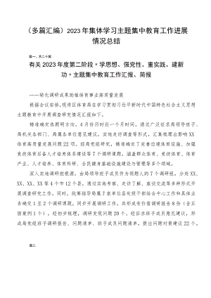 （多篇汇编）2023年集体学习主题集中教育工作进展情况总结.docx