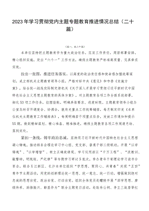 2023年学习贯彻党内主题专题教育推进情况总结（二十篇）.docx