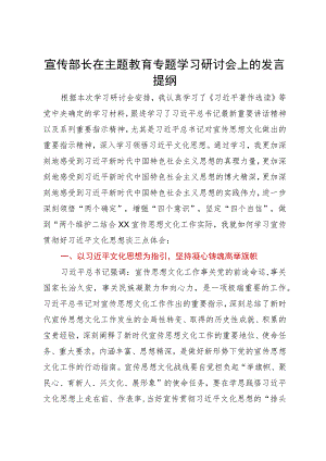 宣传部长在主题教育专题学习研讨会上的发言提纲.docx