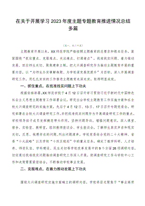 在关于开展学习2023年度主题专题教育推进情况总结多篇.docx