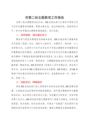 市第二批主题教育开展情况工作总结报告.docx