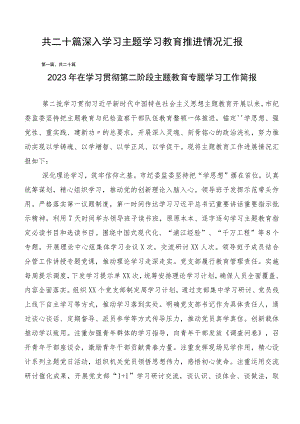 共二十篇深入学习主题学习教育推进情况汇报.docx