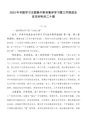 2023年专题学习主题集中教育集体学习暨工作推进会发言材料共二十篇.docx