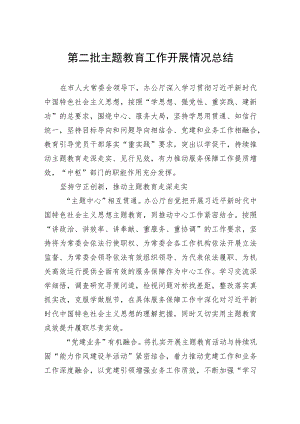 第二批主题教育工作开展情况总结.docx