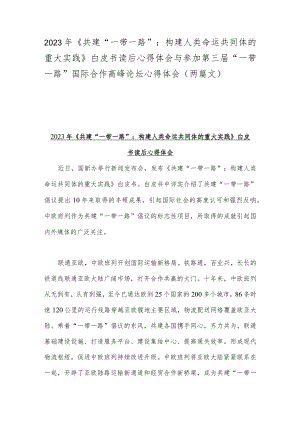 2023年《共建“一带一路”：构建人类命运共同体的重大实践》白皮书读后心得体会与参加第三届“一带一路”国际合作高峰论坛心得体会（两篇文）.docx