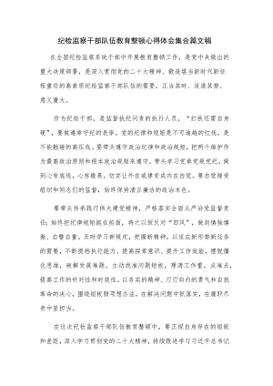 纪检监察干部队伍教育整顿心得体会集合篇文稿.docx