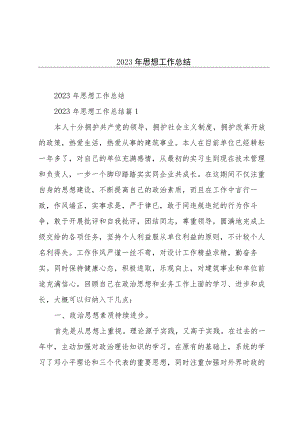 2023年思想工作总结.docx