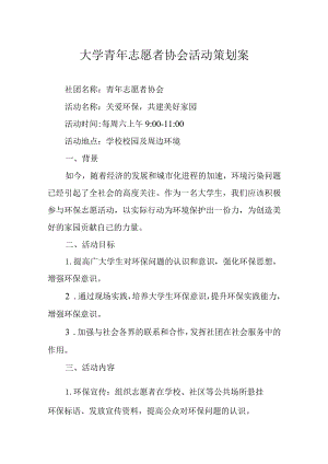 青年志愿者活动策划书5套.docx