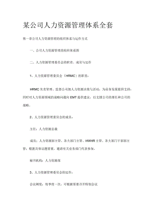 某公司人力资源管理体系全套.docx