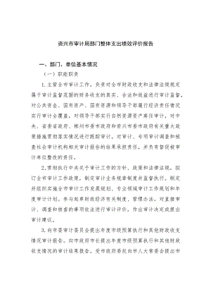 资兴市审计局部门整体支出绩效评价报告.docx