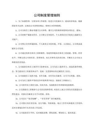 公司制度管理细则.docx