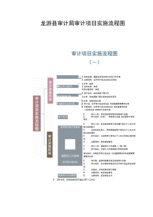 龙游县审计局审计项目实施流程图.docx