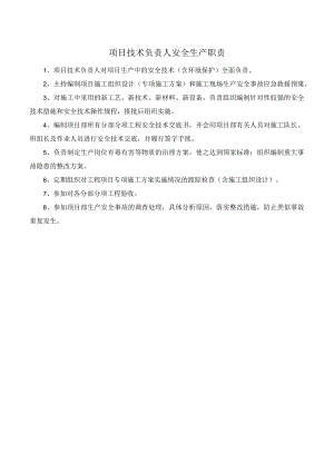 项目技术负责人安全生产职责.docx