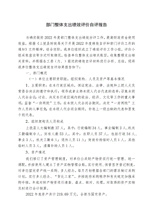 部门整体支出绩效评价自评报告.docx