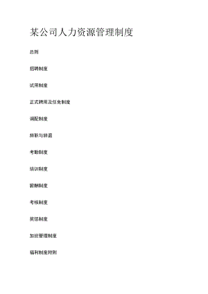 某公司人力资源管理制度.docx