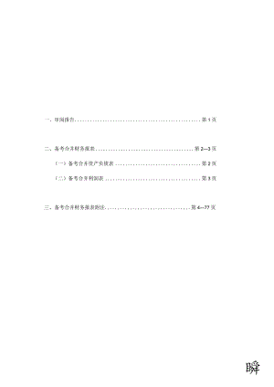 罗博特科：备考合并审计报告 .docx