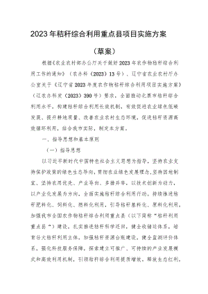2023年秸秆综合利用重点县项目实施方案（草案）.docx
