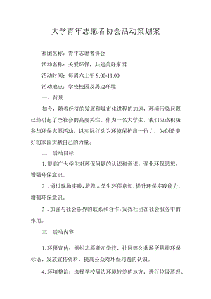 青年志愿者活动策划书模板-精选5套.docx