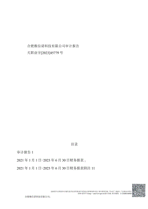 维信诺：合肥维信诺科技有限公司审计报告.docx