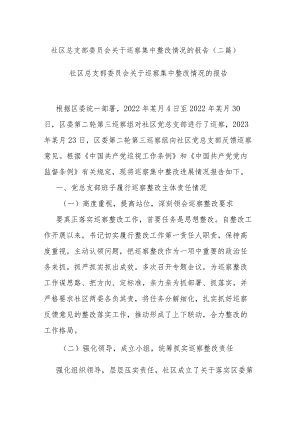 社区总支部委员会关于巡察集中整改情况的报告(二篇).docx