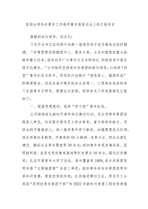 某国企领导在青年工作高质量发展座谈会上的汇报发言.docx