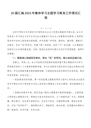 20篇汇编2023年集体学习主题学习教育工作情况汇报.docx