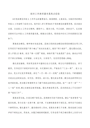 组织工作高质量发展亮点经验.docx
