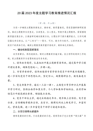 20篇2023年度主题学习教育推进情况汇报.docx