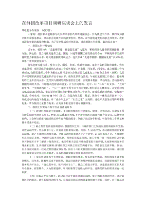 在群团改革项目调研座谈会上的发言.docx