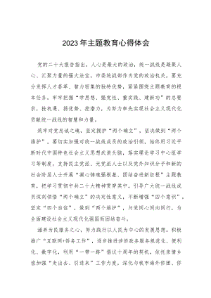 2023开展主题教育心得体会(十篇).docx